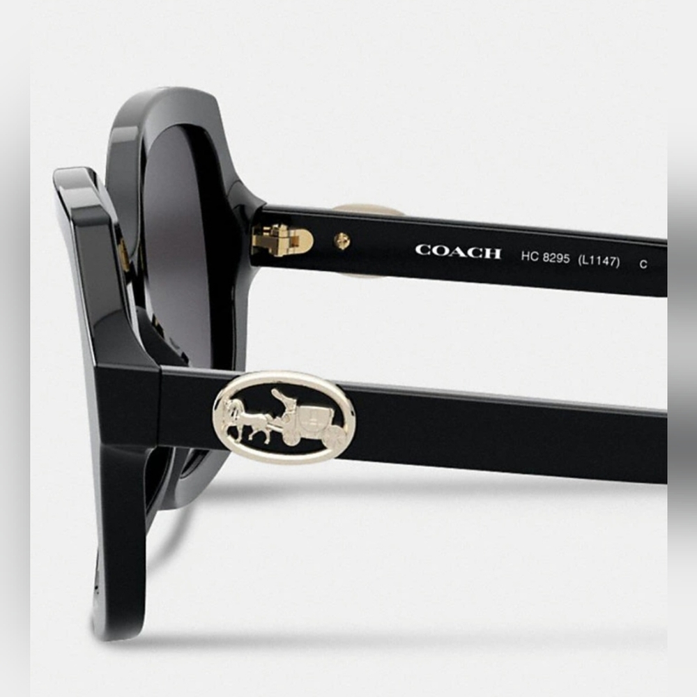 Coach Horse and Carriage Geometric Sunglasses Black - Picture 5 of 6